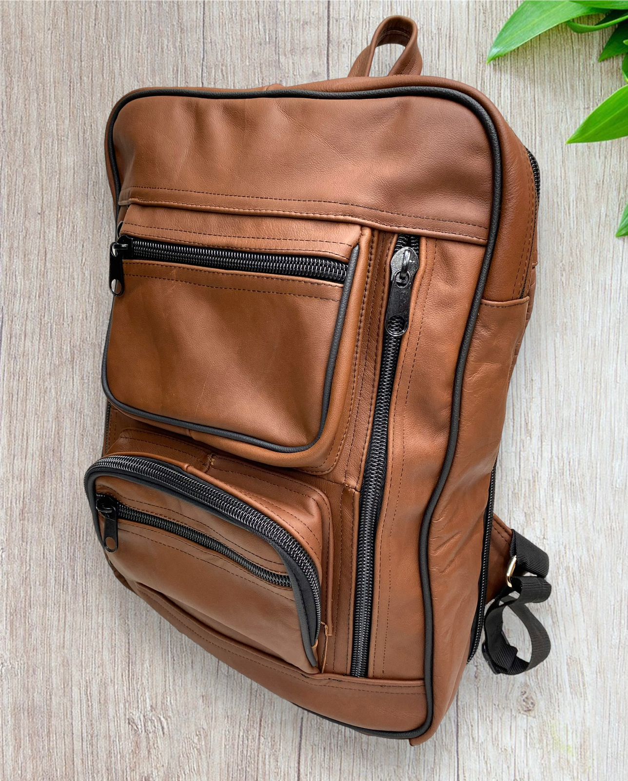 Backpacks