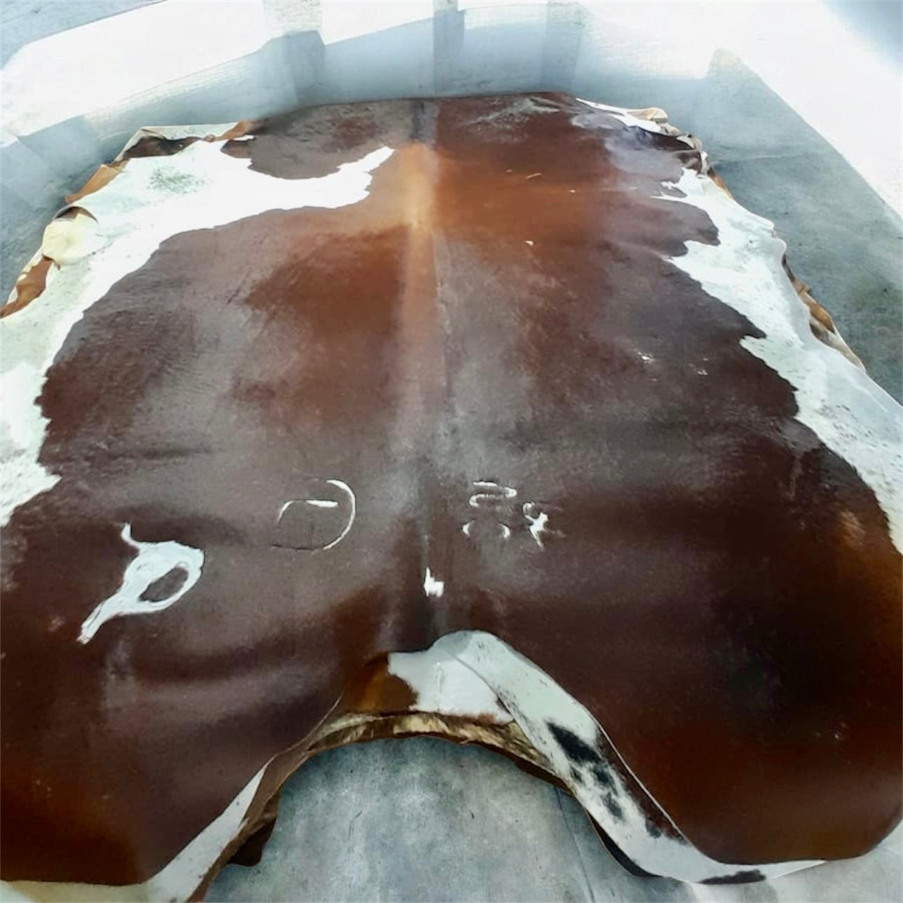 Premium Cowhide — Full Hair‑On Hide
